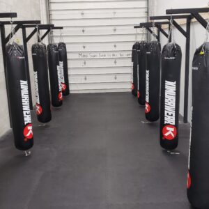 boxing & kickboxing bags
