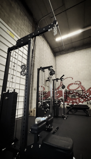 Powerlifting gym belleville - Lat pull down and cable towers